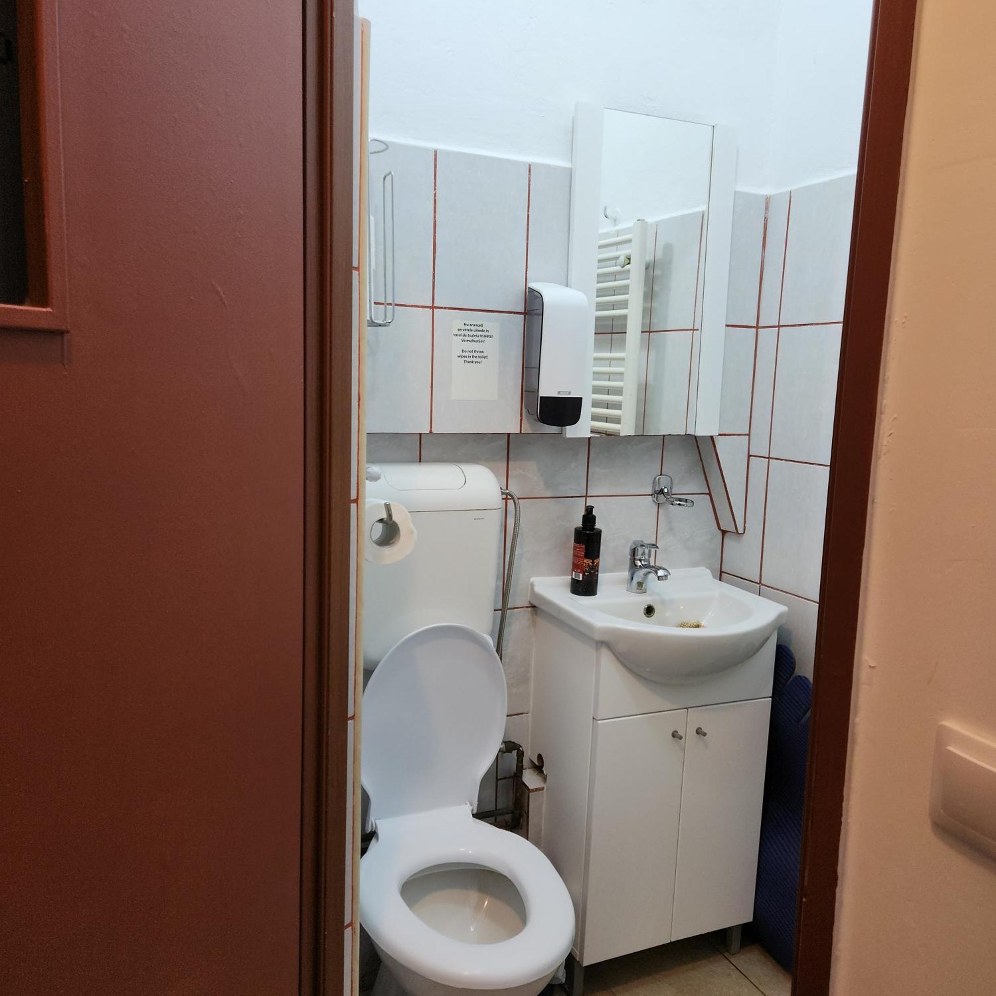 Apartament Central Adriana Sibiu Bagian luar foto